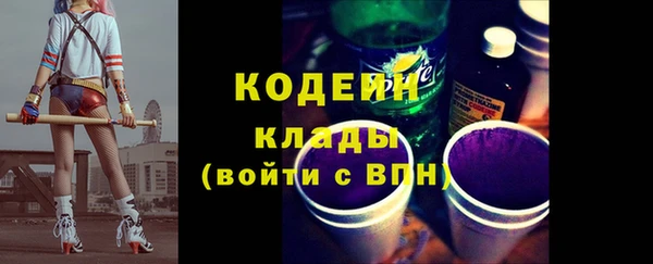 индика Баксан