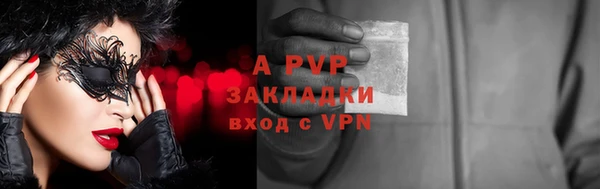 индика Баксан