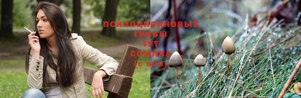 а пвп мука Балахна
