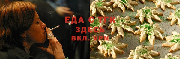 индика Баксан