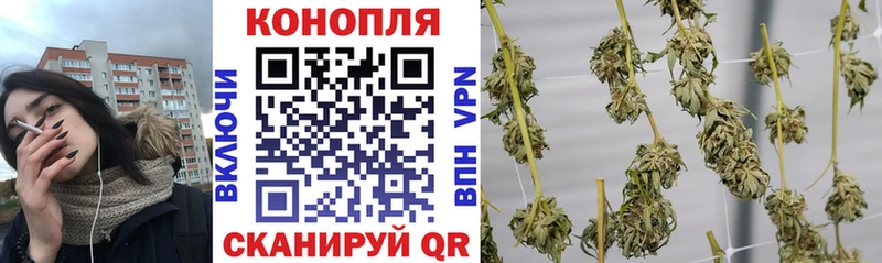 Бошки Шишки OG Kush  Купить где  Сергач 